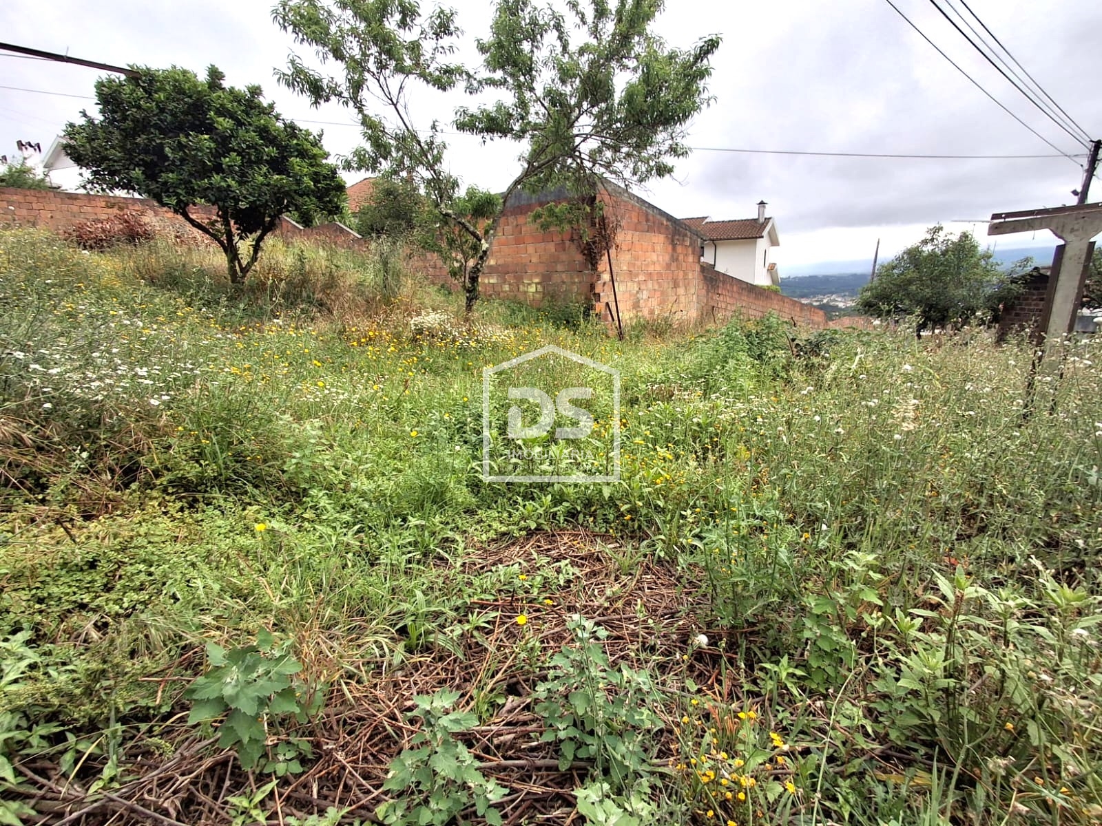 Real estate land
